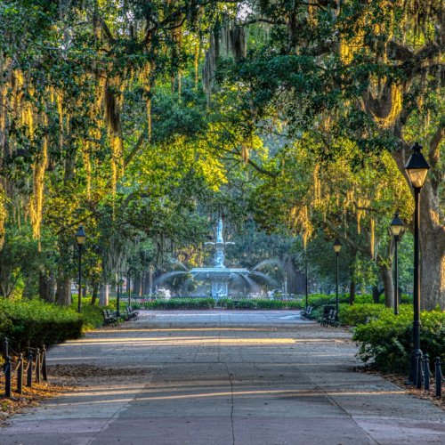 Top 10 Tours in Savannah: Southern Charm Like Never Before