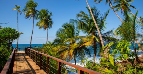 8 Fabulous Experiences Along The Caribbean Coast Of Costa Rica