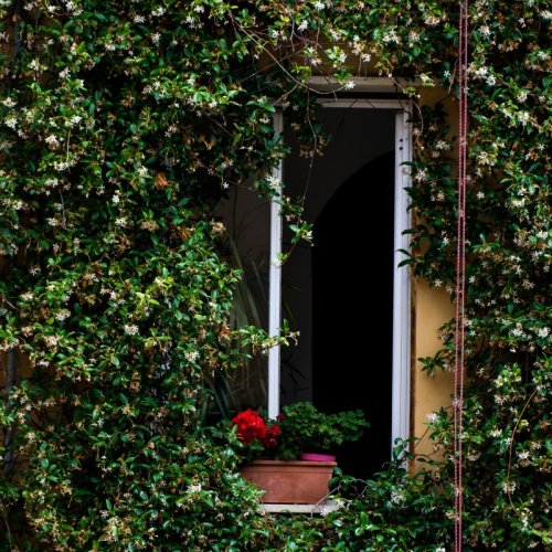 Where to Go in Italy: City-by-City Breakdown