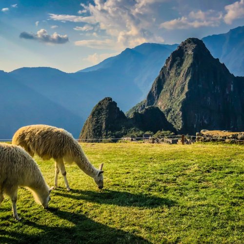 Peru Set New Rules for Machu Picchu—Here’s What You Need to Know