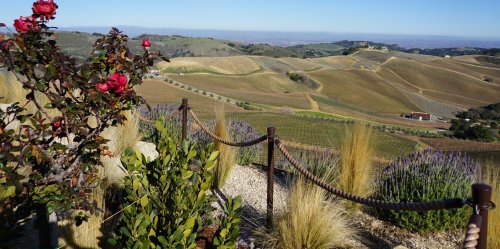 8 Must-Visit Wineries In Paso Robles, California
