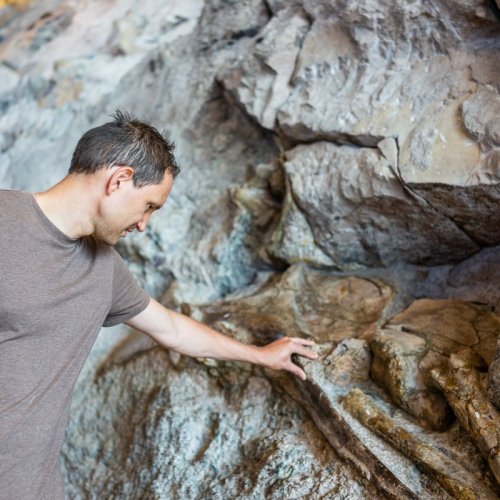 Dinosaur National Monument: How to See Fossils, Petroglyphs, & More