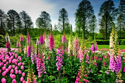 10 Best Botanical Gardens In The U.S.