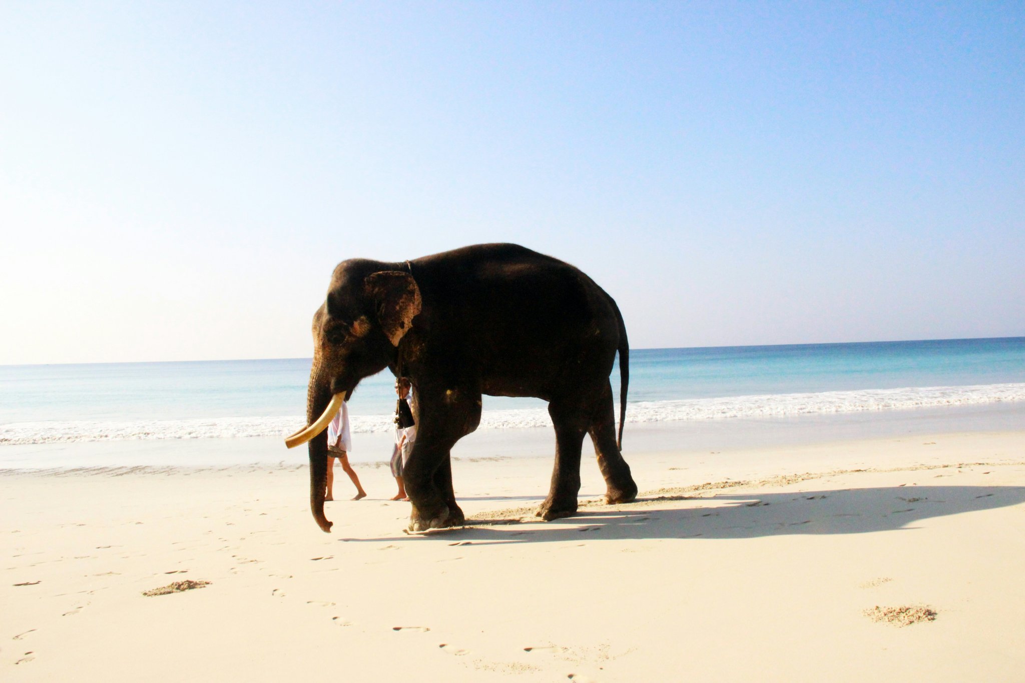 Part II: 3 More Affordable Islands You Probably Thought Were Too Expensive