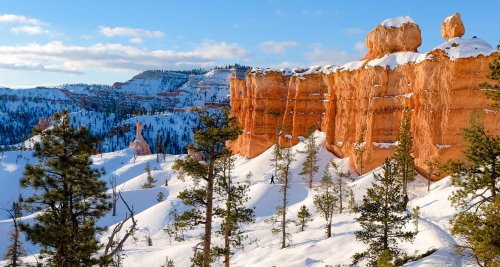 5 National Parks You Must Visit During Winter