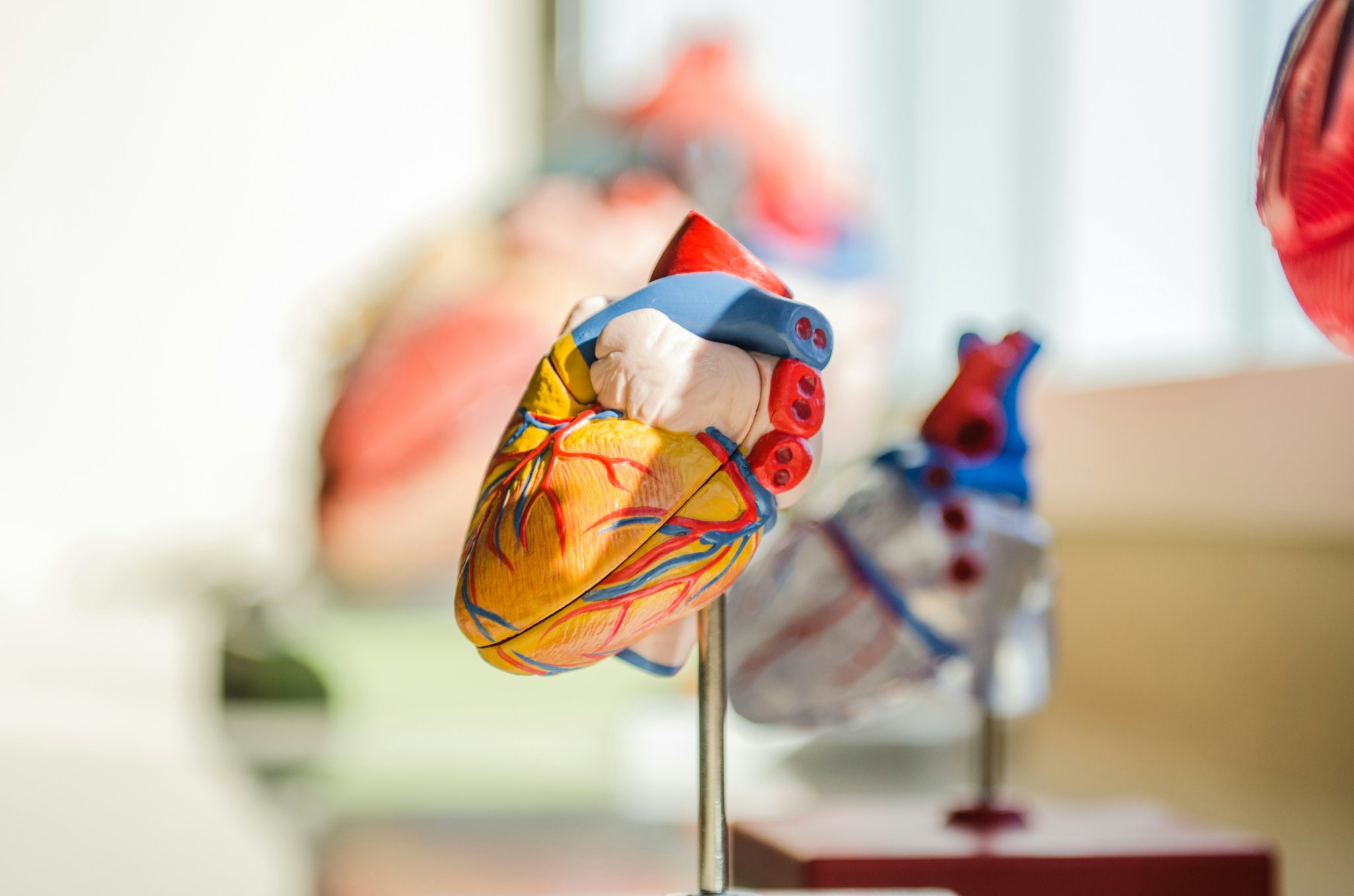 Medical Tourism: Which Countries Have the Best Reputation?