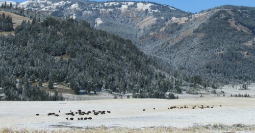 My 13 Favorite Experiences Hiking Yellowstone’s Spectacular Lamar Valley