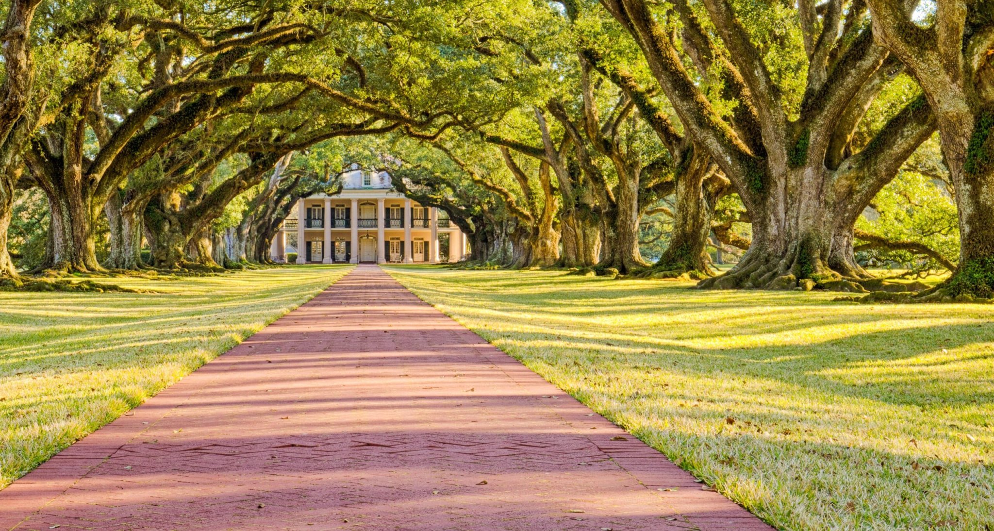 The Best Day Trips From New Orleans