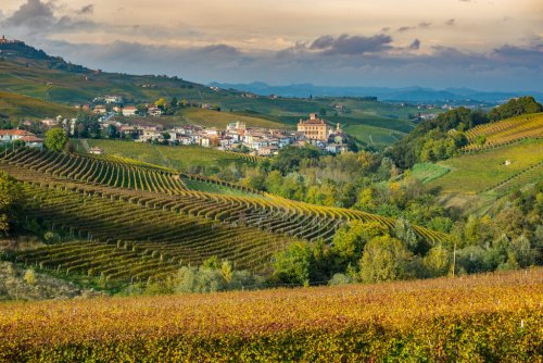 3 Family-Run Wineries You’ll Love To Visit In Italy