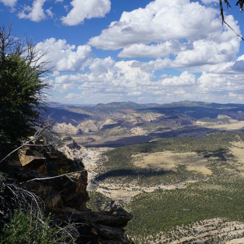 9 Beautiful Hikes To Experience In Dinosaur National Monument