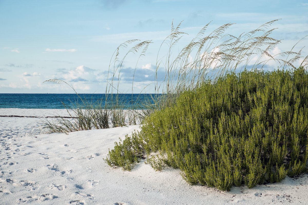 9 Reasons To Make Rosemary Beach, Florida Your Next Getaway