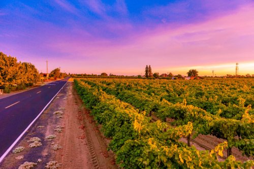 5 Reasons To Skip Napa And Go To This Lesser-Known California Wine Region Instead