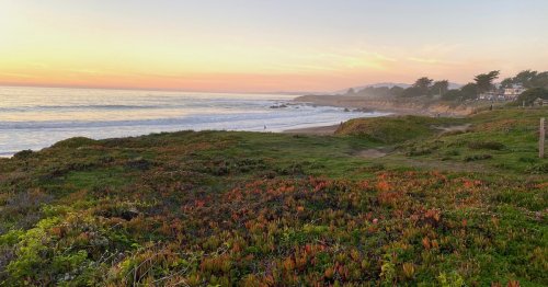 The 11 Best Beaches Up And Down The California Coast