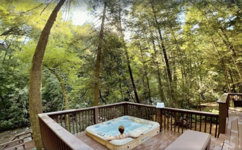 11 Gorgeous Georgia Cabin Rentals With Amazing Scenic Views