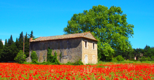 8 Unique Ways To Spend A Few Hours In The South Of France