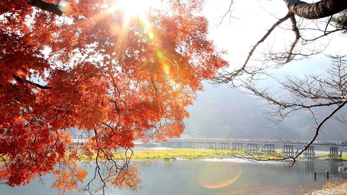 What to See and Do on a Day Trip to Arashiyama, Japan