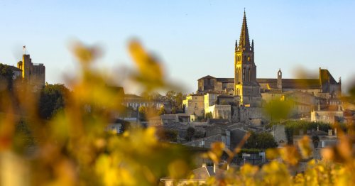 7 Tips For Navigating Bordeaux’s Wine Region