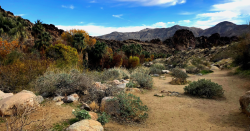 3 Ancient Native Canyons For Hiking Just 15 Minutes From Palm Springs