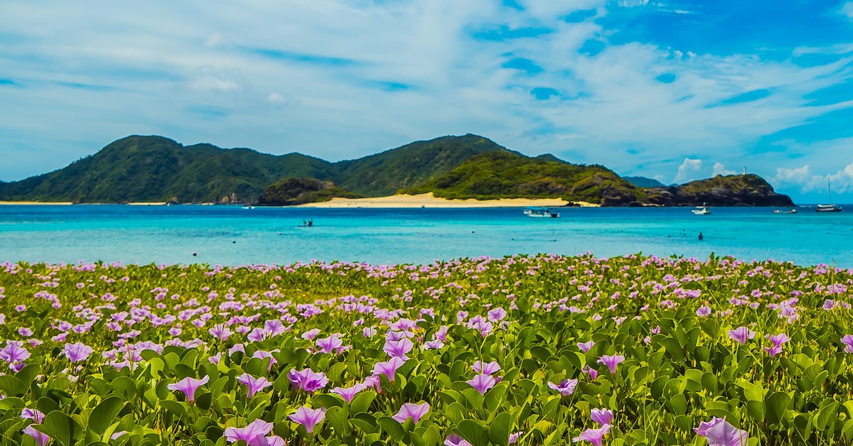 7 Reasons You’ll Love This Remote Tropical Paradise In Okinawa