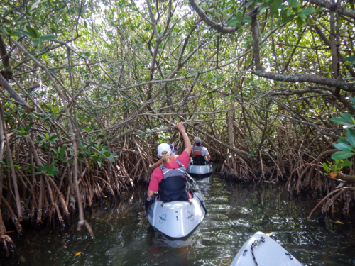 13 Amazing Paddle Trips To Experience In Florida