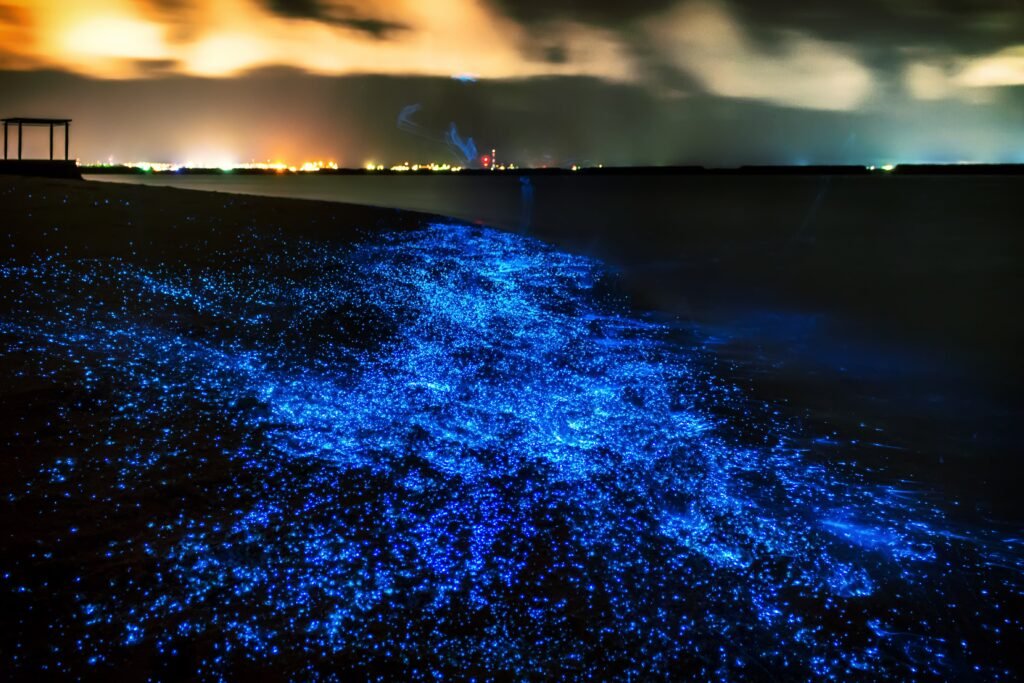 This Beach In The Maldives Actually Glows In The Dark