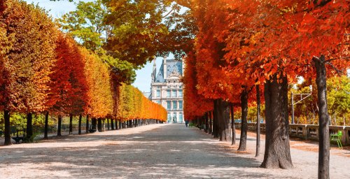 Paris: The Best Things To See And Do In Every Season