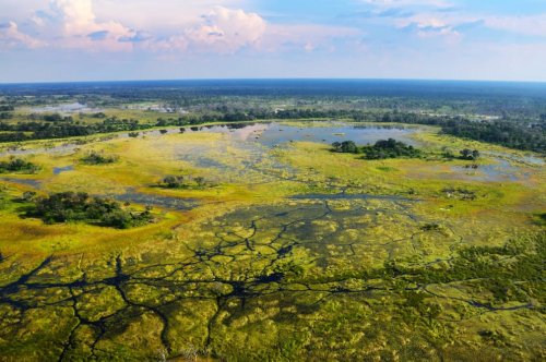 Diese 20 Fotos zeigen die ganze Schönheit des Okavango-Deltas