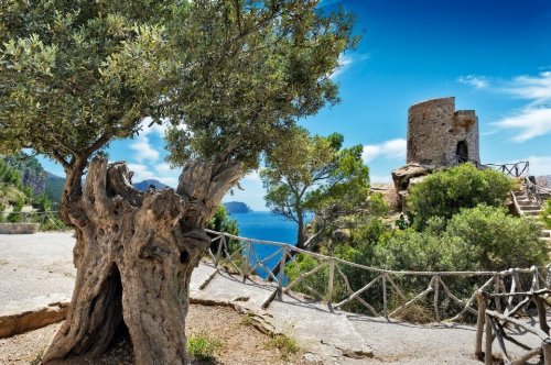 GR 221 – der schönste Weitwanderweg auf Mallorca