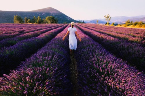 7 schöne Orte in der Provence