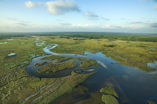 Die besten Tipps für einen Besuch im Everglades-Nationalpark