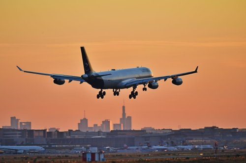 Lufthansa flog in diesem Sommer fast 600 Mal ohne einen einzigen Passagier – geht’s noch?!