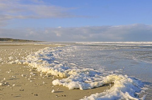 Stinkende Schaumberge an der Nordseeküste – was steckt dahinter?