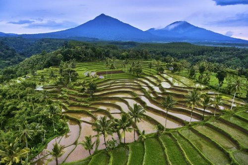 Vulkane, Tempel, seltene Tiere – was man auf Java entdecken kann