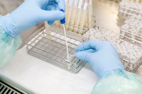 PCR-Tests werden knapp – Reisende tragen Risiko