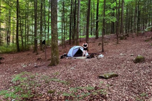 Camping in freier Natur – mitten im Schwarzwald ist das möglich
