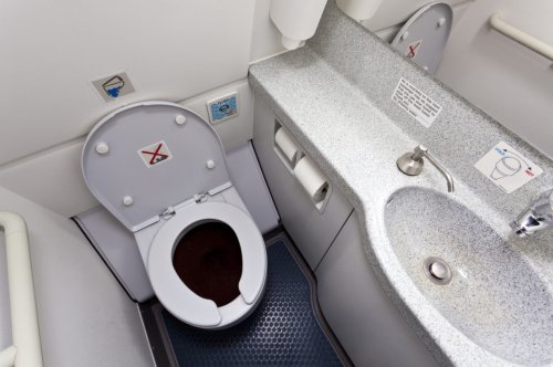 Flugbegleiterin: »Benutzen Sie im Flugzeug niemals das Toilettenpapier!