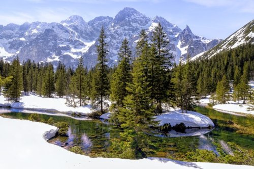 Expertin: „Es gibt in Europa keine Skigebiete mehr, die schneesicher sind“