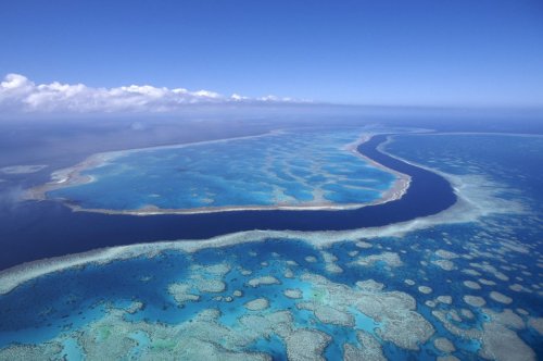 Australien will Great Barrier Reef mit Milliarden-Hilfspaket retten
