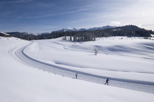 Tipps für einen Winterurlaub im Skigebiet Steinplatte-Winklmoosalm