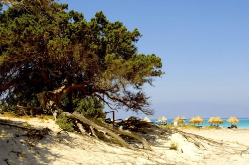 Griechenland sperrt beliebte Insel für Besucher