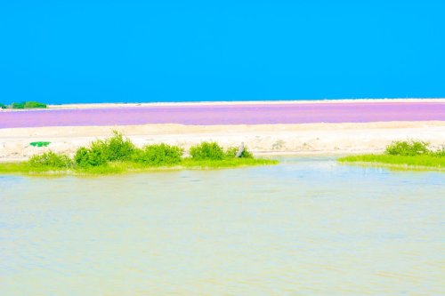 Las Coloradas: The Famous Pink Lakes of Mexico in Yucatan Peninsula in 2023 (How to get there, Tips)