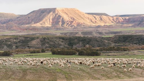 El Patrimonio Cultural Inmaterial de la Humanidad aumenta: el bolero, la ópera, el ceviche y la trashumancia están de enhorabuena