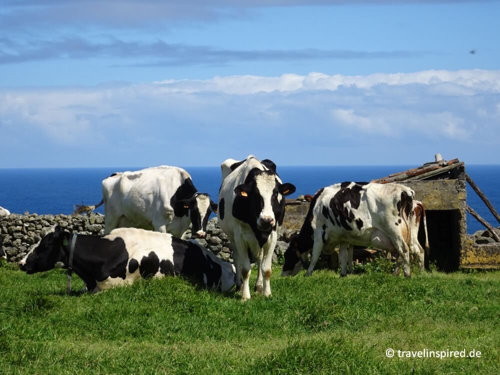 Urlaub auf Terceira: Tipps, Sehenswürdigkeiten & Wandern | Travelinspired