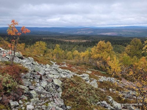 Fulufjället Nationalpark: Wandern durch Schwedens Herbstidylle