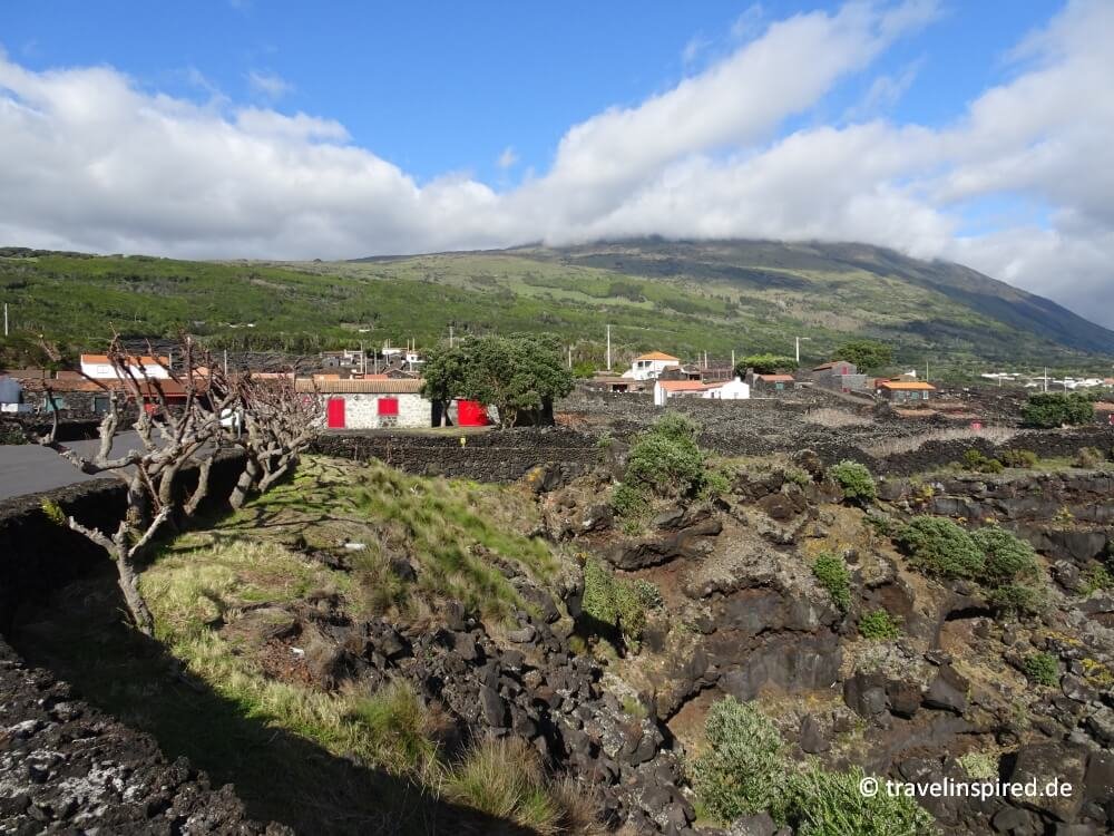 Pico: Tipps und Highlights auf der Azoreninsel | Travelinspired