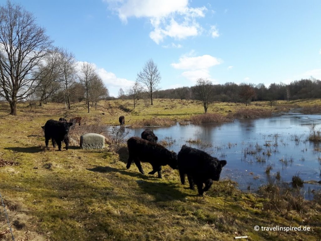 Wandern und Outdoor - cover