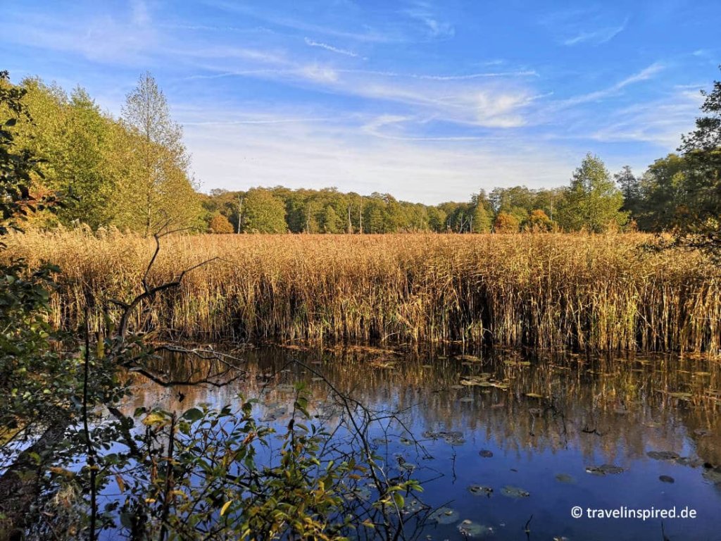 Wandern und Outdoor - cover