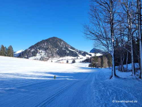Winterwandern Oberjoch: Rundtour über die Alpe Untere Schwande und Krummenbach