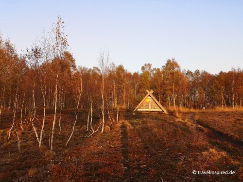 Emsland im Herbst: Moore, Wälder & Mühlen