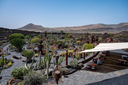 7 Tipps für den Jardín de Cactus (Kaktusgarten) auf Lanzarote